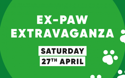 EX-PAW EXTRAVAGANZA RETURNS!